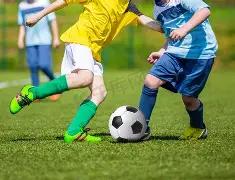 期晨光大乐,透预测,号码奇偶,OD,Sports,OD体育,体育直播,体育赛事,APP下载,官方网地址