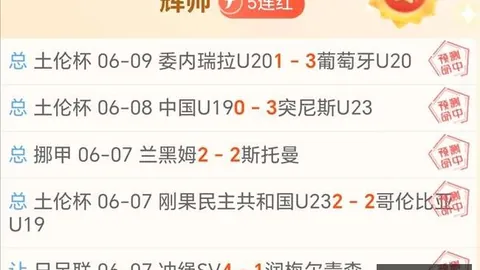 阿森纳内部透露od体育平台：萨利巴带伤坚持战，其六个月伤情之谜